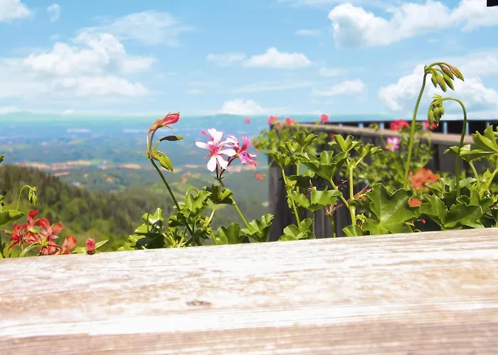 In Nyaraló Eibiswald